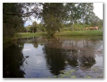 Parkwood International Golf Course - Parkwood, Gold Coast: Lots of water around the course