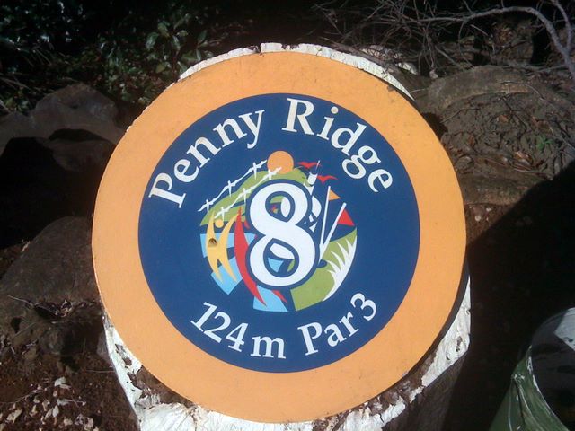 Penny Ridge Resort Golf Course - Carool: Penny Ridge Resort Hole 8: Par 3, 124 metres