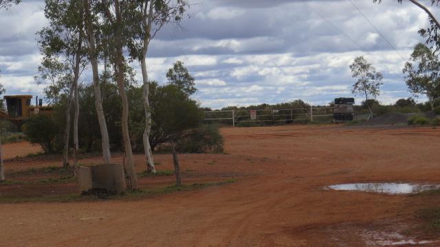 Curtin Springs Station Campground - Petermann: Camp area.
