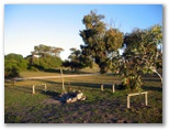 Coorong Caravan Park - Policemans Point: In ground cooking