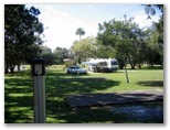 Poona Palms Caravan Park - Poona: Powered sites for caravans with good shade from the trees
