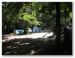 Pandanus Caravan Park - Port Douglas: Area for tents and camping