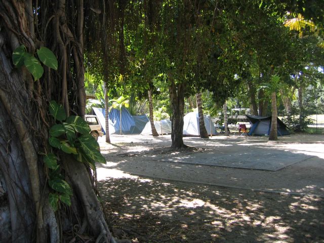 Tropic Breeze Van Village - Port Douglas: Area for tents and camping