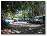 Tropic Breeze Van Village - Port Douglas: Good paved roads throughout the park and plenty of shade