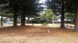 Martins Point - Port Fairy: Plenty of shade for rest and relaxation.