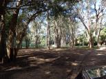 Flynns Beach Caravan Park - Port Macquarie: vary shady park