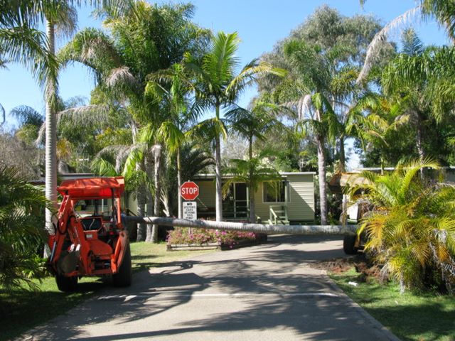 Leisure Tourist Park & Holiday Units - Port Macquarie: Moving a large palm tree to make more room for big rigs to turn the corner.