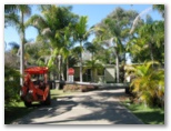 Leisure Tourist Park & Holiday Units - Port Macquarie: Moving a large palm tree to make more room for big rigs to turn the corner.