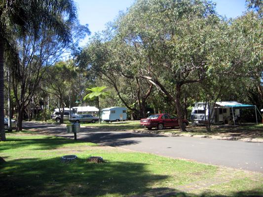 Lighthouse Beach Holiday Village - Port Macquarie: Good paved roads throughout the park