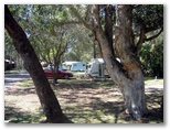 Lighthouse Beach Holiday Village - Port Macquarie: Shady powered sites for caravans