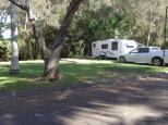 Lighthouse Beach Holiday Village - Port Macquarie: Plenty of tree in the park