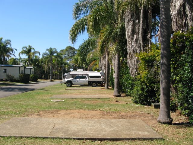 Melaleuca Caravan Park - Port Macquarie: Powered sites for caravans