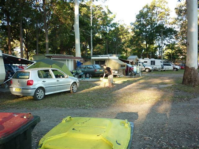 Riverlodge Tourist Village - Port Macquarie: Powered sites for caravans