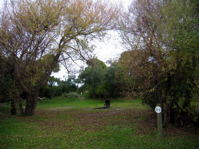 Henty Bay Beach Front Van & Cabin Park - Portland: Beautiful bush camping area