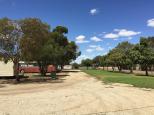 Pyramid Hill Caravan Park - Pyramid Hill: Gravel all weather roads throughout the park.