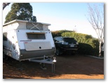 Crestview Tourist Park - Queanbeyan: Powered sites for caravans with hedge privacy