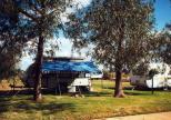 Channel Country Caravan Park - Quilpie: Shady powered sites for caravans 
