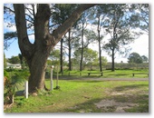 Bellhaven Caravan Park - Raymond Terrace: Powered sites for caravans are well back from main road.