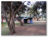 BIG4 Renmark Riverside Caravan Park - Renmark: Area for tents and camping