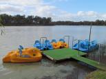 BIG4 Renmark Riverside Caravan Park - Renmark: Paddle boats