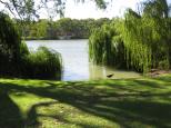 Bert Dix Memorial Park - Paringa: River.