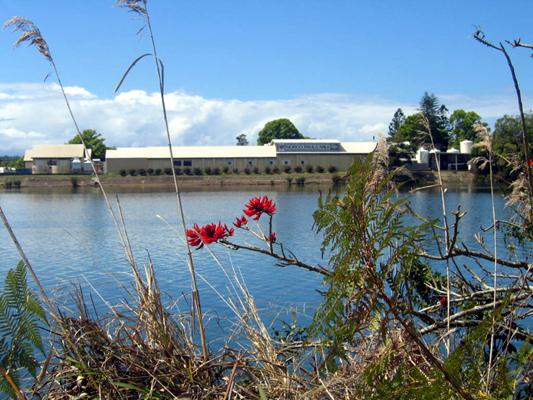 Historical Photos of Bellinger River Tourist Park 2007 - Repton: View of the old butter factory on the Bellinger River.