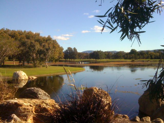 The Colonial Golf Course - Robina Gold Coast: One of many magnificent water features on the course.