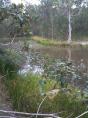 Rocky Creek Scout Camp - Landsborough: the dam