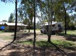 Roma Aussie Tourist Park - Roma: Shady powered sites for caravans 