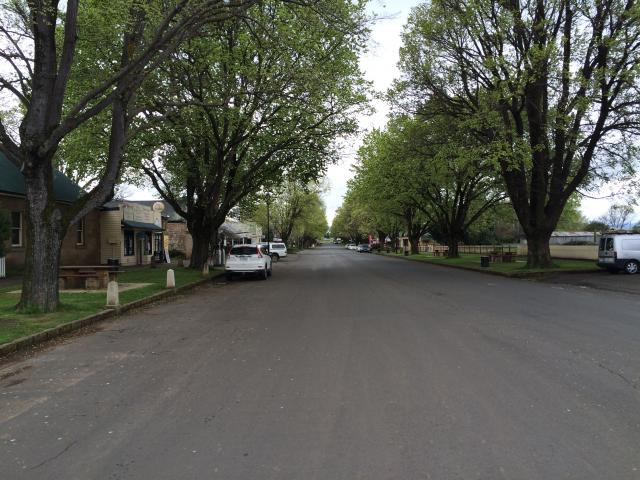 Ross Caravan Park and Heritage Cabins - Ross: A view up the tree lined main street - quite charming.