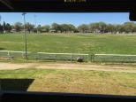 Sale Showground & Motorhome & Caravan Park - Sale: View of the Showground Oval from the grandstand