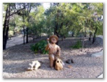 Sapphire Caravan Park - Sapphire: Statue showing historic prospector