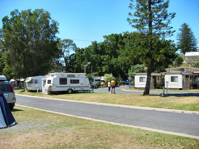 Scotts Head Holiday Park - Scotts Head: Powered sites for caravans - note good paved roads through the park.