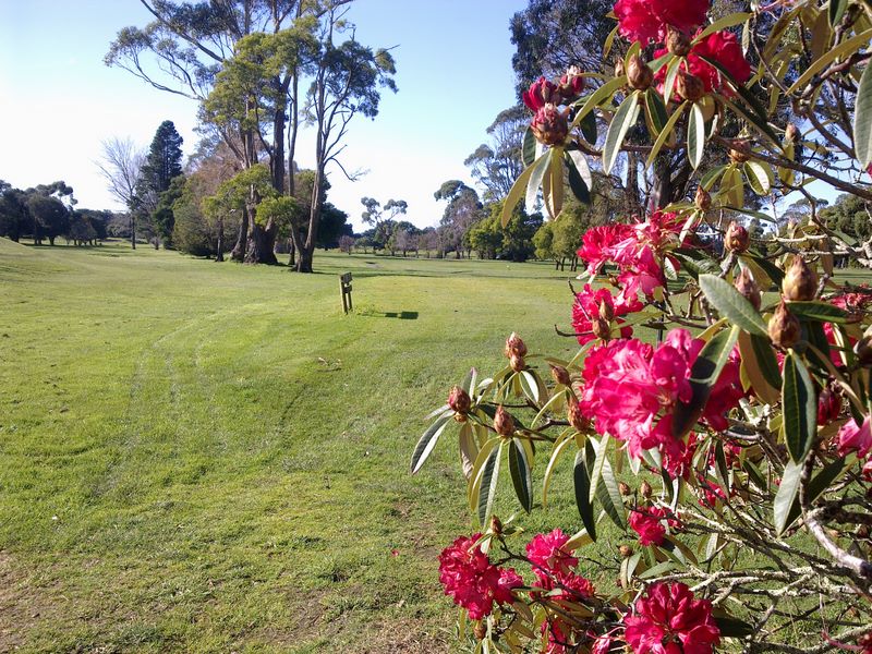 Seabrook Golf Club Inc. - Wynyard: View of the tee on Hole 8.