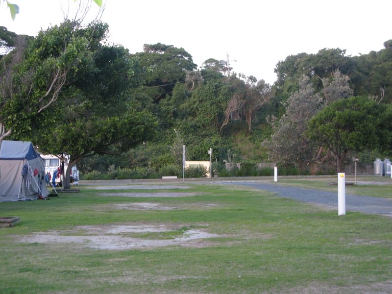 North Coast Holiday Park Seal Rocks - Seal Rocks: Area for tents and camping