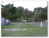 North Coast Holiday Park Seal Rocks - Seal Rocks: Area for tents and camping