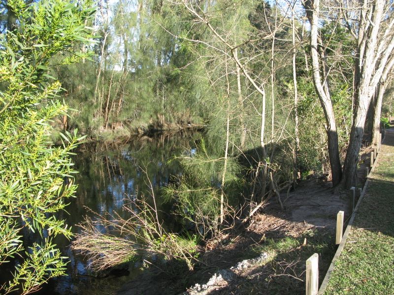 Mountain View Caravan and Mobile Home Village - Shoalhaven Heads: Creek behind the park