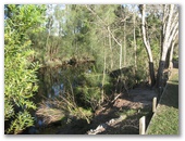 Mountain View Caravan and Mobile Home Village - Shoalhaven Heads: Creek behind the park