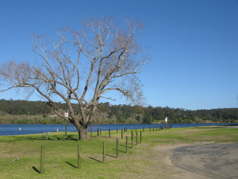 Shoalhaven Ski Park / North Nowra River Front Caravan Park - North Nowra: Area for tents and camping