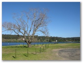 Shoalhaven Ski Park / North Nowra River Front Caravan Park - North Nowra: Area for tents and camping