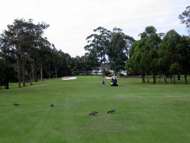 Shortland Waters Golf Course - Shortland: Approach to the Green on Hole 2