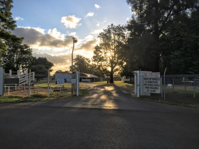 Singleton Showground - Singleton: View of the entrance to the Showground showing late afternoon sunlight.