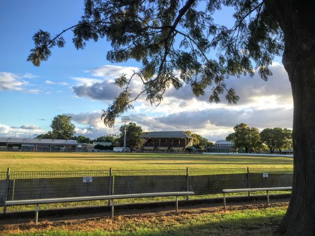 Singleton Showground - Singleton:  Overview of the Showground looking towards the grandstand which is beautifully lit by sun early in the morning. 