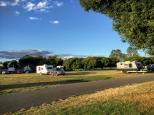 Singleton Showground - Singleton: Powered sites for caravans and motorhomes with a nice view of the Showground.