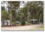BIG4 South Durras Holiday Park - South Durras: Natural bushland setting for camping