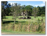 South West Rocks Golf Course - South West Rocks: Rocks and trees adjacent to the Tee on Hole 9