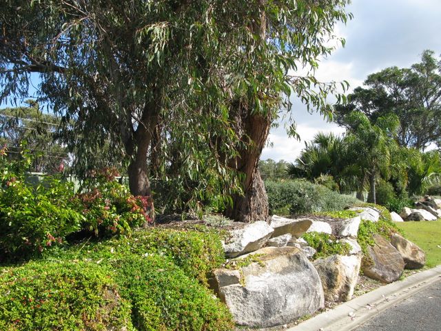 South West Rocks Tourist Park - South West Rocks: The park has beautiful gardens