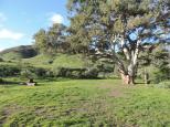 Spear Creek Caravan Park - Flinders Rangers: Just love this place