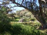 Spear Creek Caravan Park - Flinders Rangers: Camp site on the Creek through the gate