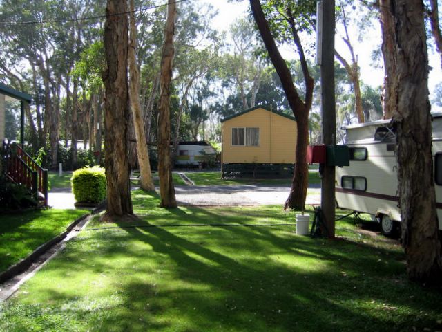 Sapphire Beach Holiday Park - Coffs Harbour: Lots of trees and shade.
